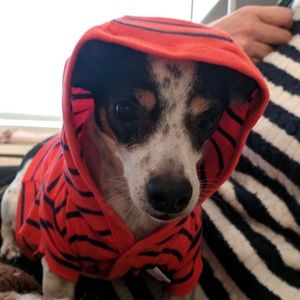 Meet your Posher, Daniel